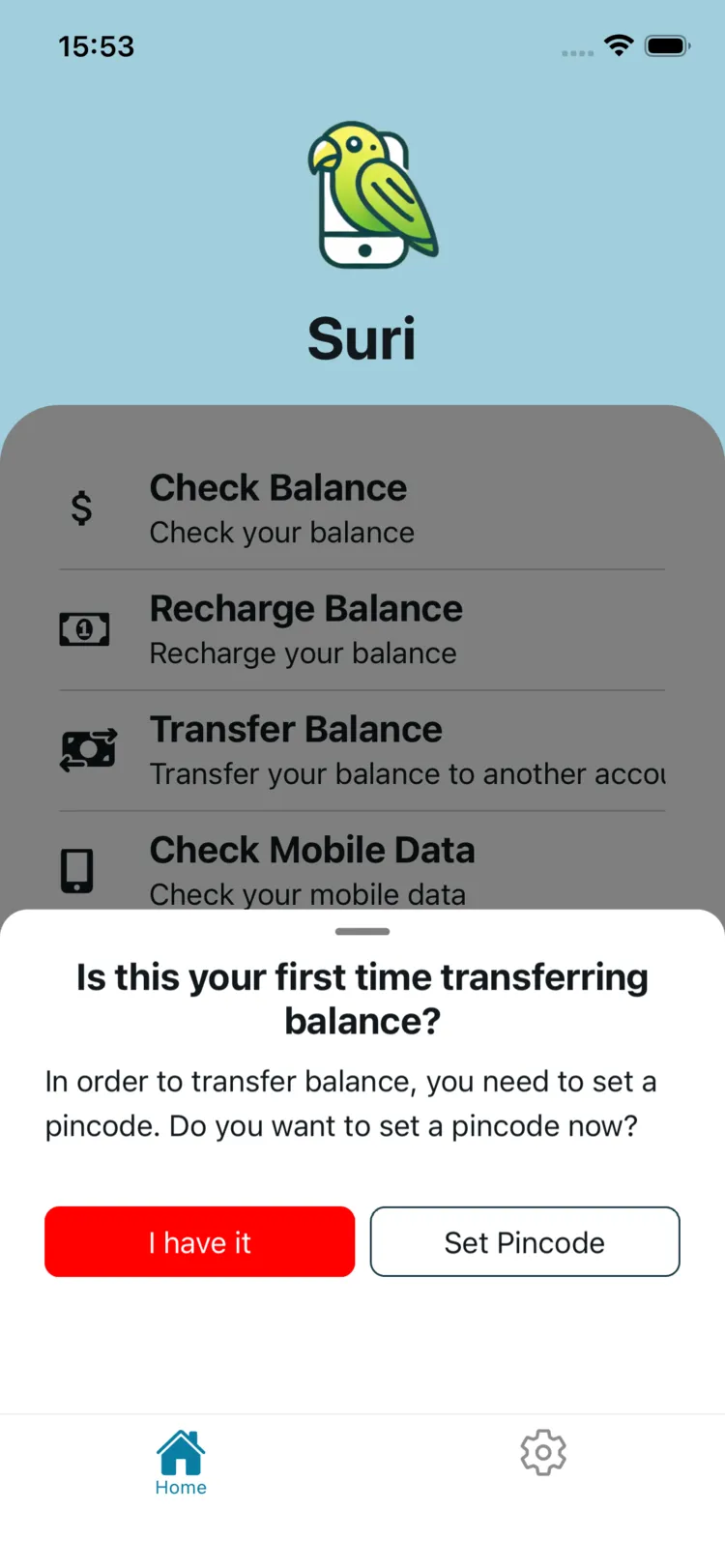 Suri app usage overview screen showing data consumption and credit history